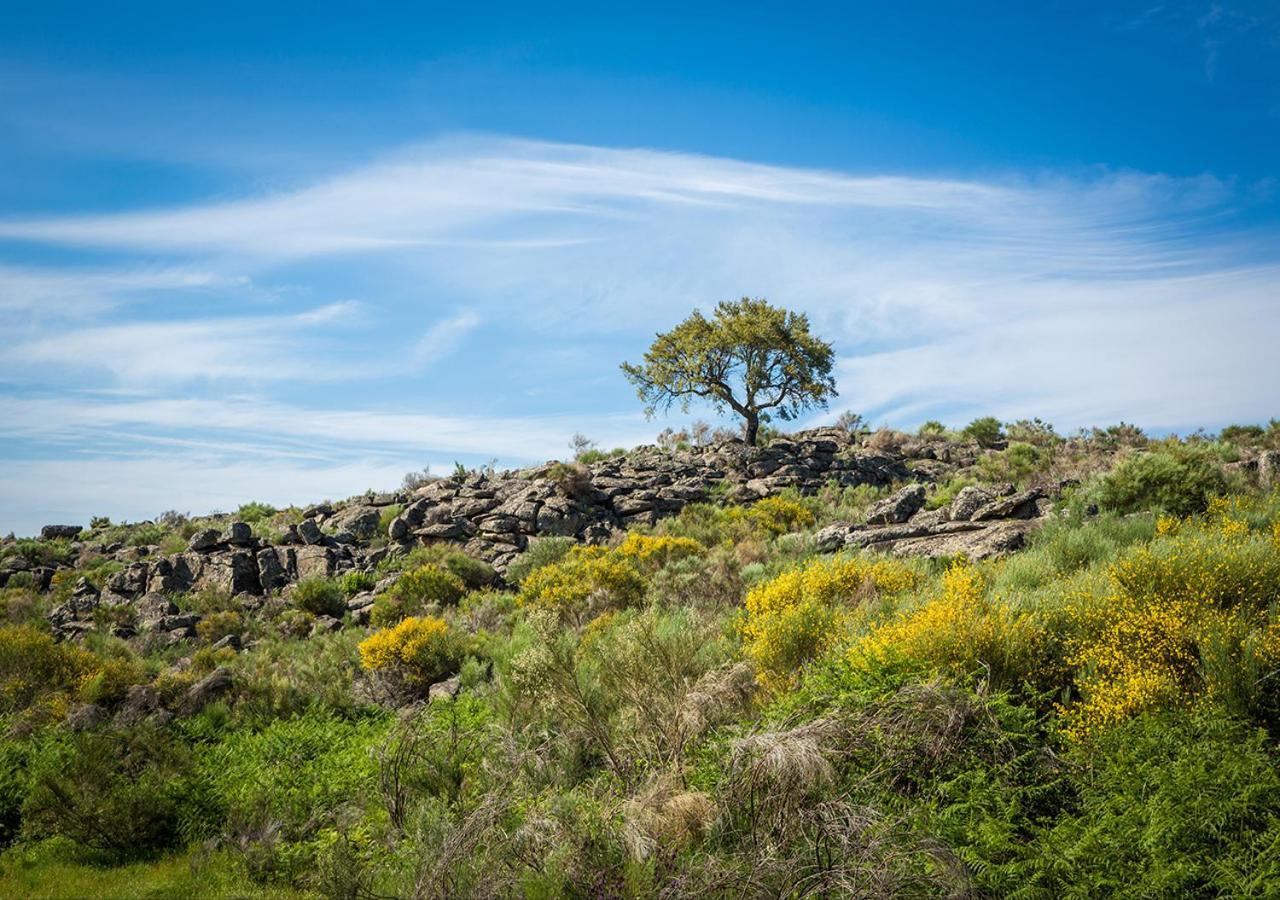 Alentejo Mountain Castelo de Vide